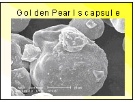  Golden Pearls 5-50 Microns (Powder) for Newly Hatched